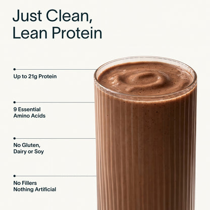 Nuzest - Pea Protein Powder - Clean Lean Protein 20 Servings